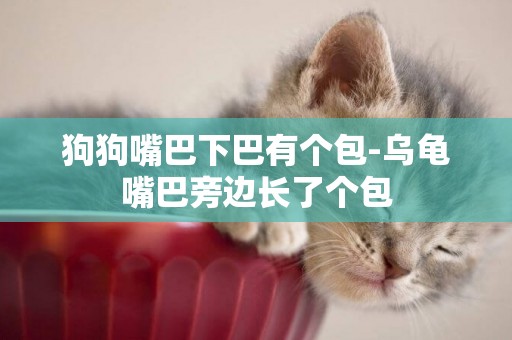 狗狗嘴巴下巴有個包-烏龜嘴巴旁邊長了個包