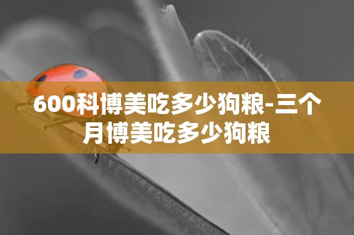 600科博美吃多少狗糧-三個月博美吃多少狗糧