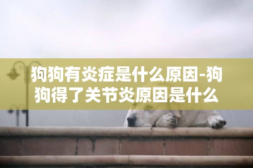 狗狗有炎癥是什么原因-狗狗得了關節炎原因是什么