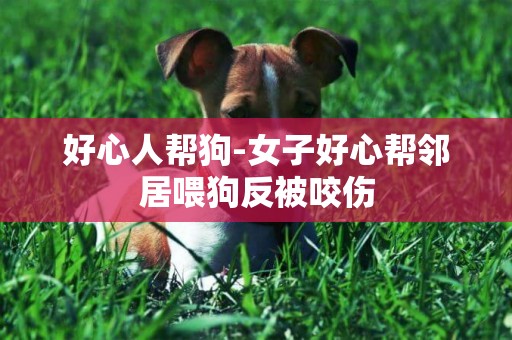 好心人幫狗-女子好心幫鄰居喂狗反被咬傷