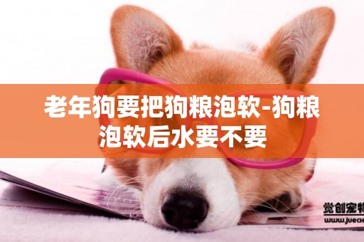 老年狗要把狗糧泡軟-狗糧泡軟后水要不要