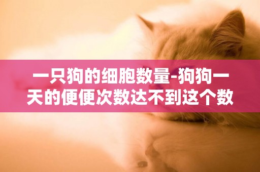 一只狗的細胞數量-狗狗一天的便便次數達不到這個數量
