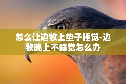 怎么讓邊牧上墊子睡覺-邊牧晚上不睡覺怎么辦
