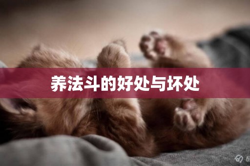養法斗的好處與壞處