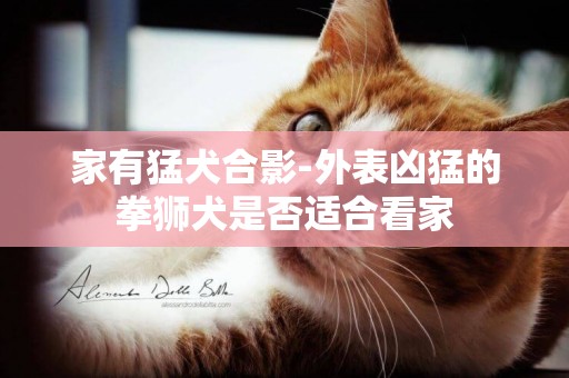 家有猛犬合影-外表兇猛的拳獅犬是否適合看家