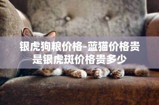 銀虎狗糧價格-藍貓價格貴是銀虎斑價格貴多少