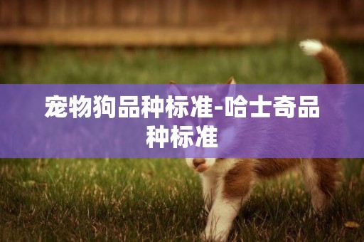 寵物狗品種標準-哈士奇品種標準