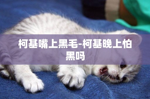 柯基嘴上黑毛-柯基晚上怕黑嗎