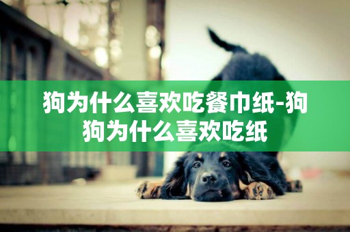 狗為什么喜歡吃餐巾紙-狗狗為什么喜歡吃紙