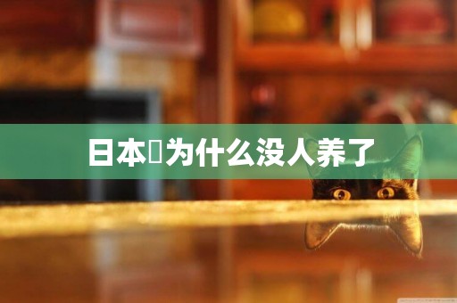 日本狆為什么沒人養了
