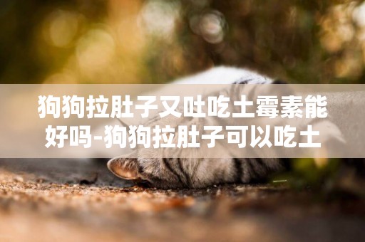 狗狗拉肚子又吐吃土霉素能好嗎-狗狗拉肚子可以吃土霉素嗎