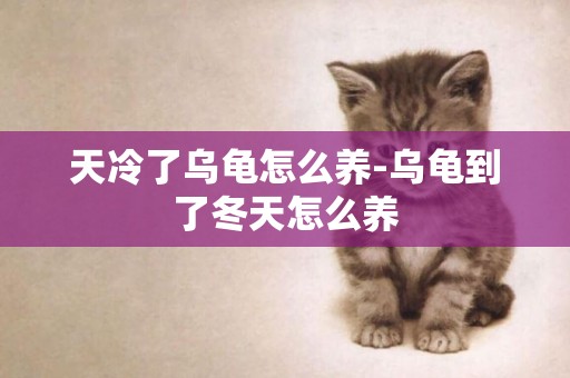 天冷了烏龜怎么養-烏龜到了冬天怎么養