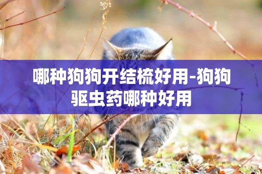 哪種狗狗開結梳好用-狗狗驅蟲藥哪種好用