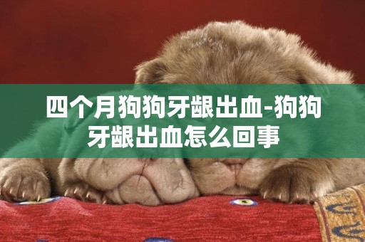四個月狗狗牙齦出血-狗狗牙齦出血怎么回事