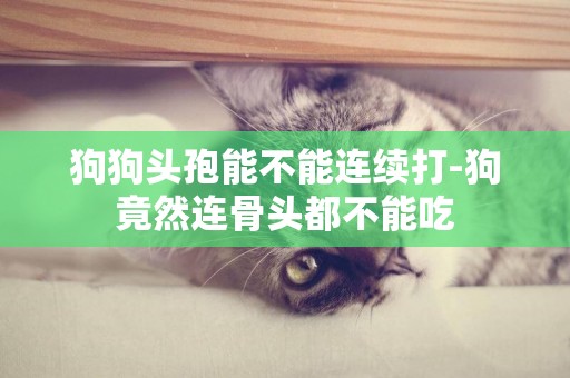 狗狗頭孢能不能連續打-狗竟然連骨頭都不能吃
