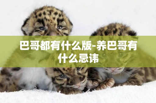 巴哥都有什么版-養巴哥有什么忌諱