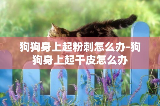狗狗身上起粉刺怎么辦-狗狗身上起干皮怎么辦