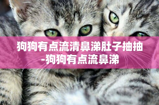 狗狗有點流清鼻涕肚子抽抽-狗狗有點流鼻涕