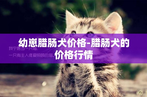幼崽臘腸犬價格-臘腸犬的價格行情