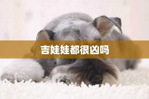 吉娃娃都很兇嗎