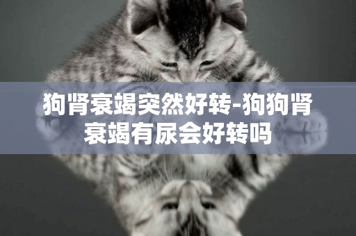 狗腎衰竭突然好轉-狗狗腎衰竭有尿會好轉嗎