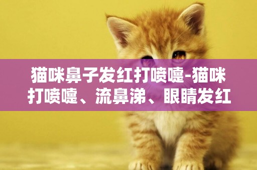 貓咪鼻子發紅打噴嚏-貓咪打噴嚏、流鼻涕、眼睛發紅