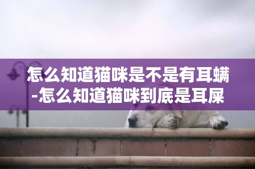怎么知道貓咪是不是有耳螨-怎么知道貓咪到底是耳屎還是耳螨