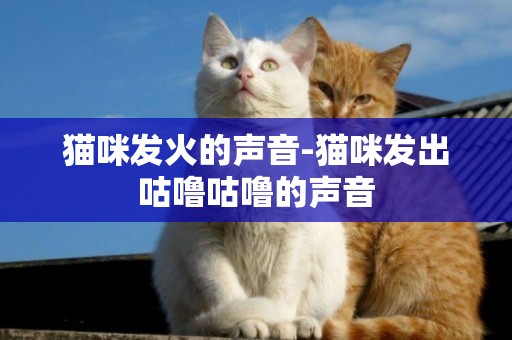 貓咪發火的聲音-貓咪發出咕嚕咕嚕的聲音