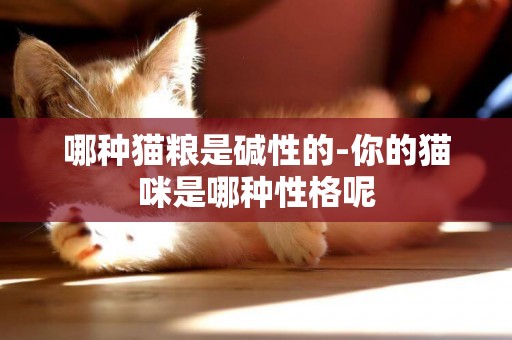 哪種貓糧是堿性的-你的貓咪是哪種性格呢