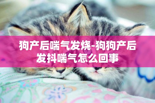 狗產后喘氣發燒-狗狗產后發抖喘氣怎么回事