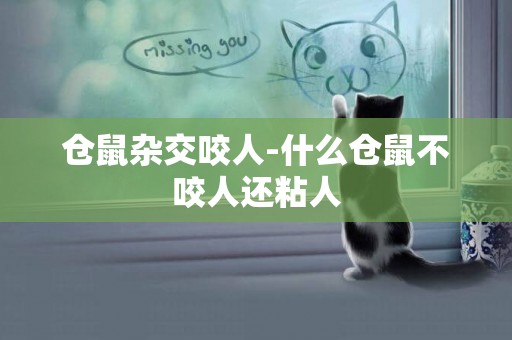 倉鼠雜交咬人-什么倉鼠不咬人還粘人
