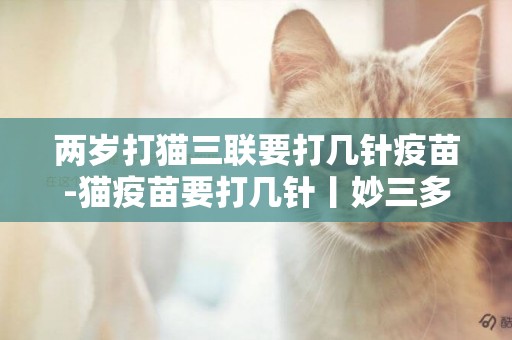兩歲打貓三聯要打幾針疫苗-貓疫苗要打幾針丨妙三多打幾針