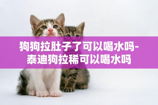 狗狗拉肚子了可以喝水嗎-泰迪狗拉稀可以喝水嗎