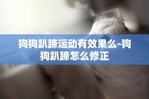 狗狗趴蹄運動有效果么-狗狗趴蹄怎么修正