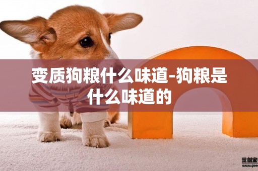 變質狗糧什么味道-狗糧是什么味道的