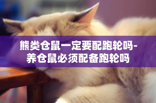 熊類倉鼠一定要配跑輪嗎-養倉鼠必須配備跑輪嗎