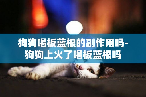 狗狗喝板藍根的副作用嗎-狗狗上火了喝板藍根嗎