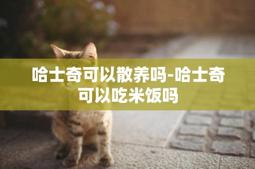 哈士奇可以散養嗎-哈士奇可以吃米飯嗎