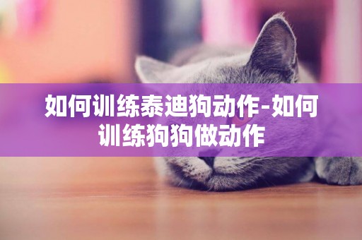 如何訓練泰迪狗動作-如何訓練狗狗做動作