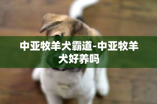 中亞牧羊犬霸道-中亞牧羊犬好養嗎