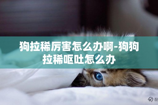 狗拉稀厲害怎么辦啊-狗狗拉稀嘔吐怎么辦