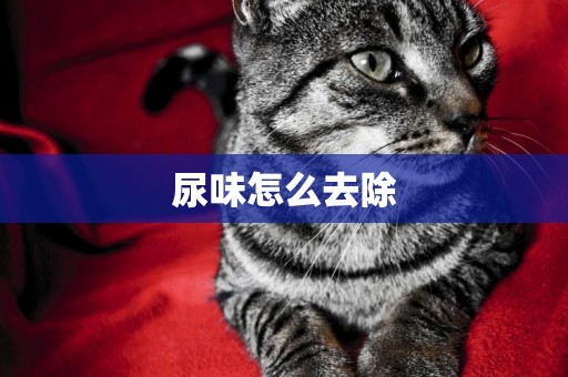 尿味怎么去除