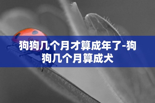 狗狗幾個月才算成年了-狗狗幾個月算成犬