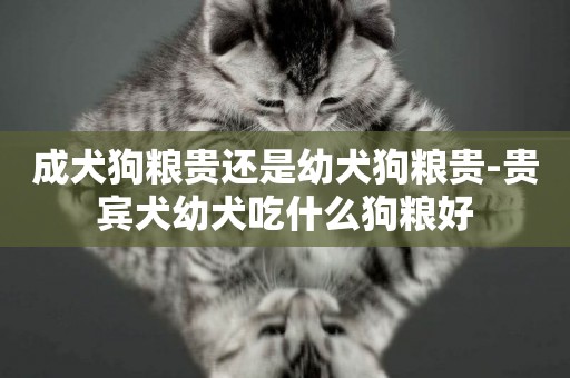 成犬狗糧貴還是幼犬狗糧貴-貴賓犬幼犬吃什么狗糧好