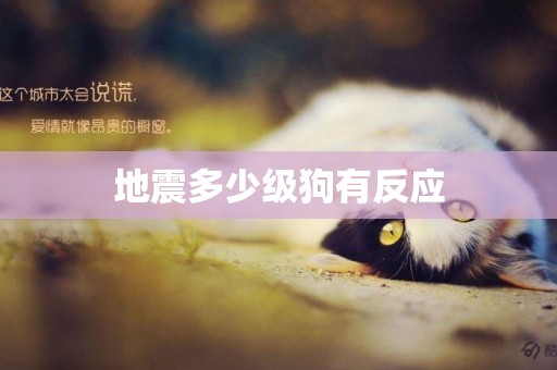 地震多少級狗有反應