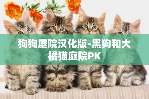 狗狗庭院漢化版-黑狗和大橘貓庭院PK