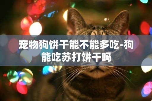寵物狗餅干能不能多吃-狗能吃蘇打餅干嗎