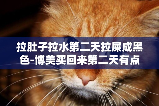拉肚子拉水第二天拉屎成黑色-博美買回來第二天有點拉肚子