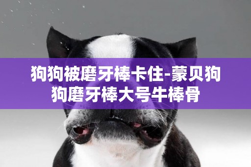 狗狗被磨牙棒卡住-蒙貝狗狗磨牙棒大號牛棒骨