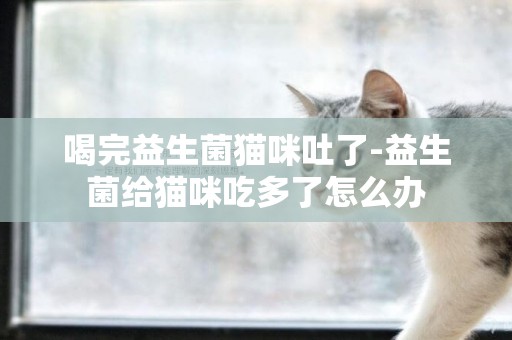 喝完益生菌貓咪吐了-益生菌給貓咪吃多了怎么辦